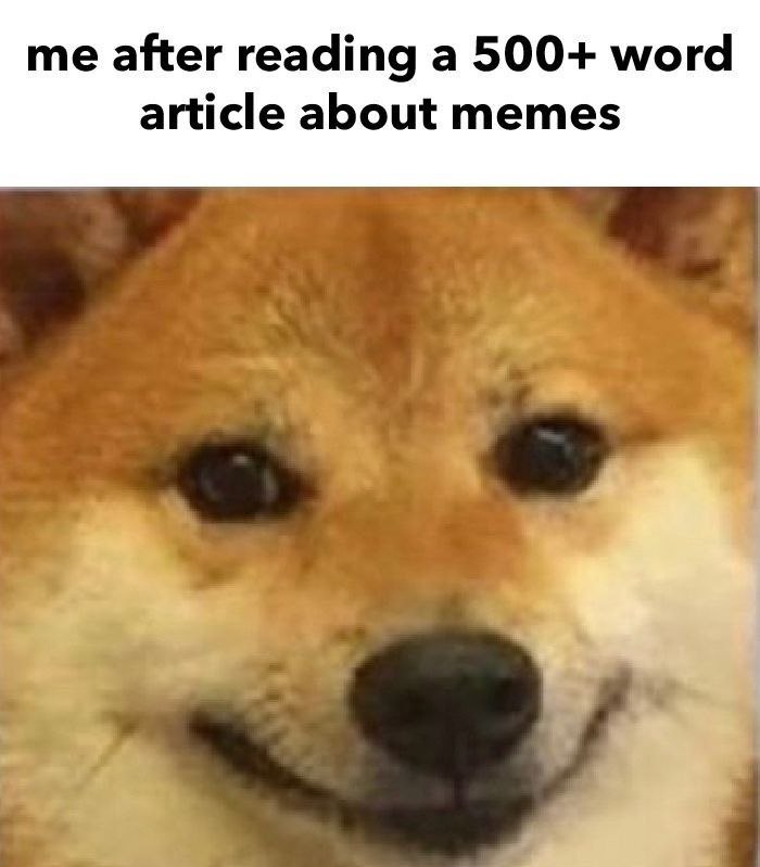 Dog With A Capt That Says, a dog with a capt that says, i m m m m m m m m m